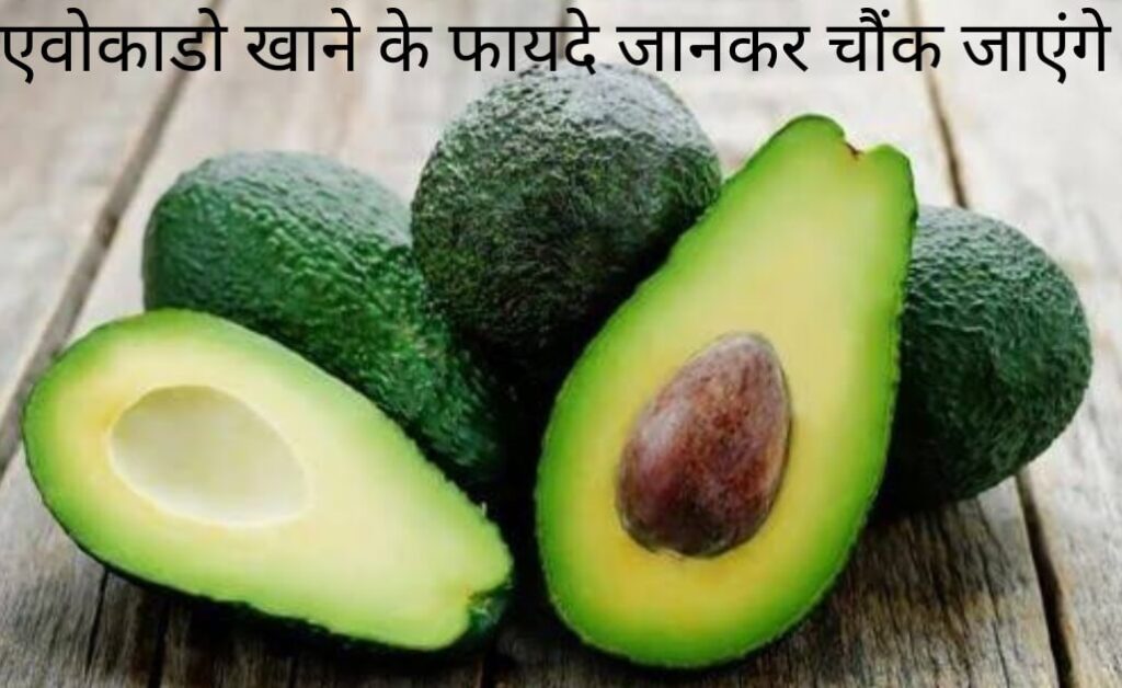 एवोकाडो खाने के फायदे जानकर चौंक जाएंगे आप Avocado in Hindi