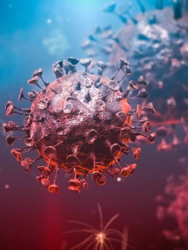 निपाह वायरस से मृत्यु दर कोविड-19 से कहीं अधिक है :- आईसीएमआर का महानिदेशक |